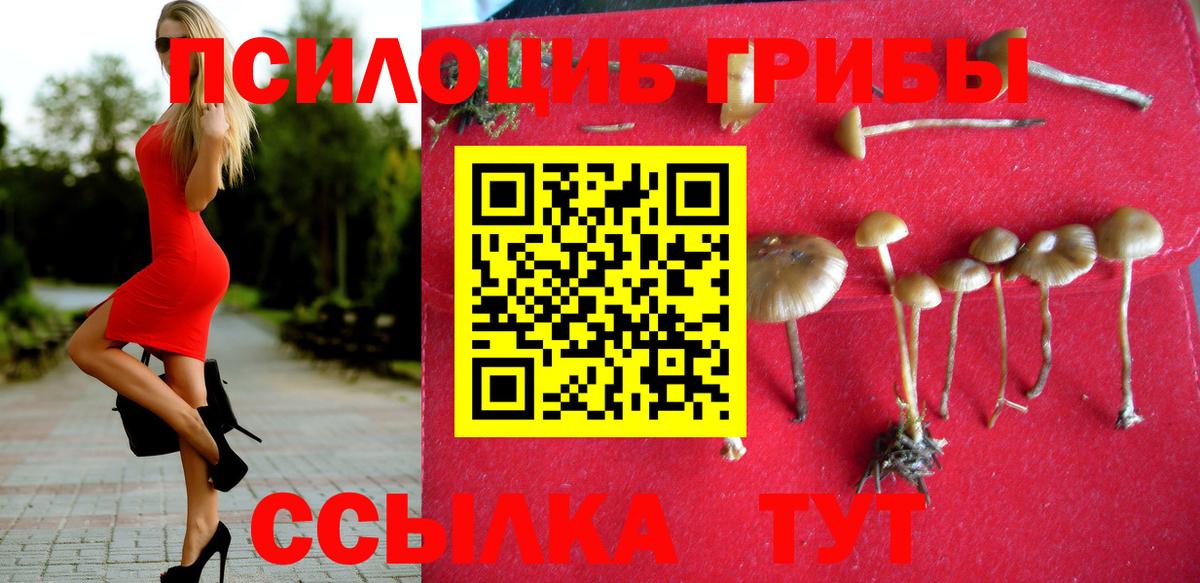 Галлюциногенные грибы Magic Shrooms Нижний Новгород